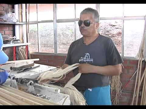 Oportunidades Laborales para Personas con Discapacidad